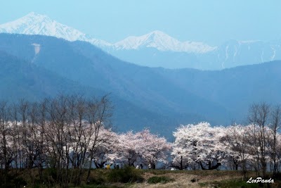 安曇野の春