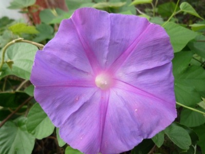 P1050946