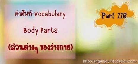 คำศัพท์ภาษาอังกฤษ Body Parts (ส่วนต่างๆ ของร่างกาย)