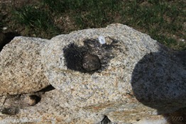 [24]_Castanheira_-_Pedra_Parideira (640x427)