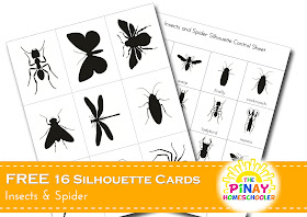 FREE Insects and Spider Silhouette Cards