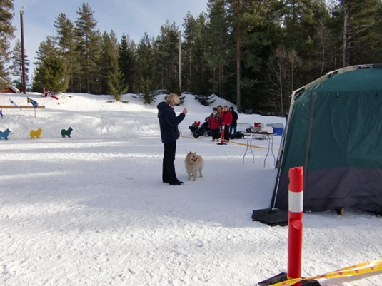 Kongsberg utst 2011020