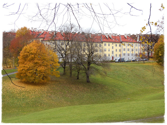 Friområdet Torshovdalen i Oslo.