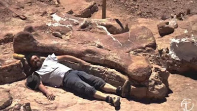 Titanosaurus, Dinosaurus Terbesar di Dunia Seberat 70 Ton