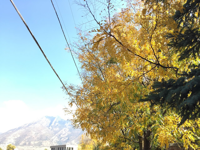 Fall Photos for a Fall Holiday // THE JOY BLOG - A collection of fall photos from my life in the Intermountain West
