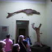 View album