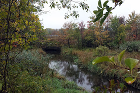 Mine Brook flows into the Natural Valley Storage Area