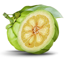 Garcinia Fruit for Weight Loss