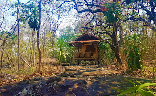 esan, northern Thailand, rural Thailand, Wat Doi Dhamma Chedi Pagoda, wat chedi, wat chedi sakon nakhon, wat doi, wat doi dhamma, wat doi dhamma chedi, wait chedi koksrisuphan, wat, wat doi, Thai temple, Thai wat, wat Thailand, Thailand temple, shrine, Thai shrine, Buddhist shrine, Koksri Suphan, Sakon Nakhon, Thailand, teaching in rural Thailand, teaching English in Thailand, teaching ESL in Thailand, teaching EFL in Thailand, teaching abroad, teaching in southeast asia, travel, travelling in southeast Asia, travelling in Thailand, travel Thailand, travel southeast Asia, travel Sakon Nakhon, travel Sakhon Nakhon, travel Sakonnakon, travel Sakhonnakhon, Koksri Suphan village, Kok Sri Supan, Kok Sri Suphan, Koksri Supan, Khok Sri Supan, Khok Srisuphan, Khoksrisupan, Khoksrisuphan, Koksrisupan, Koksrisuphan