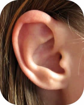 Fitness Ring, Why do your Ears Ring, Ears Ring, Ears, ring, Fitness, Health and Wellness, 