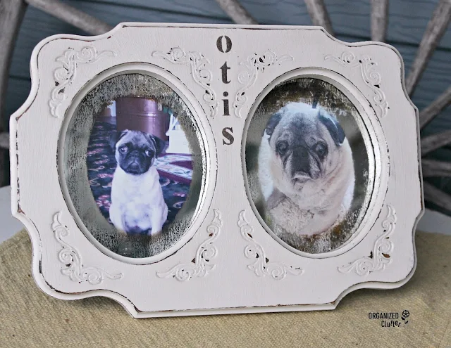 Transform a Goodwill Frame to a Pet Memorial organizedclutter.net