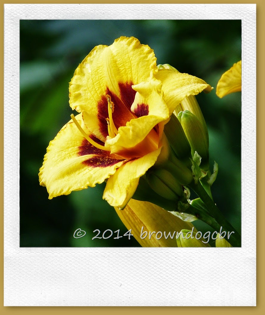 P1380519