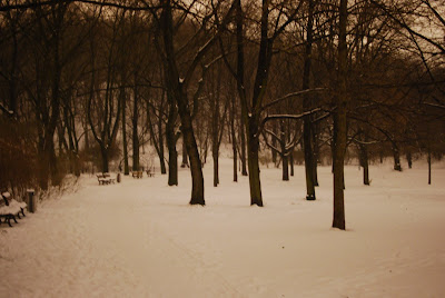 Volkspark Friedrichshain 1