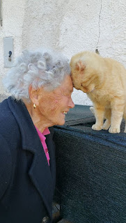 Tras cuatro años esta anciana se reencuentra con su gato desaparecido en el terremoto