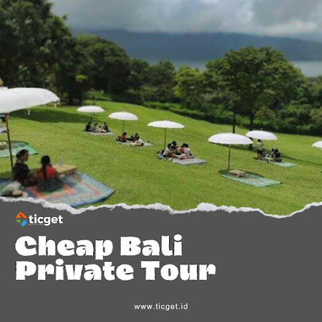 cheap-bali-tour-driver-here