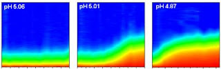 'Instant Acid' Method Offers New Insight into Nanoparticle Dispersal in the Environment and the Body