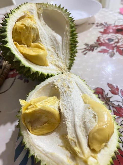 Bila Tiba Musim Durian