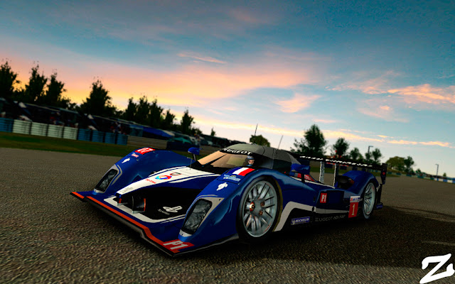 Imagnes en Sebring rFactor Peugeot 908