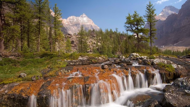 Arroyo de montaña.