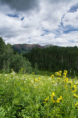 Snodgrass Mountain