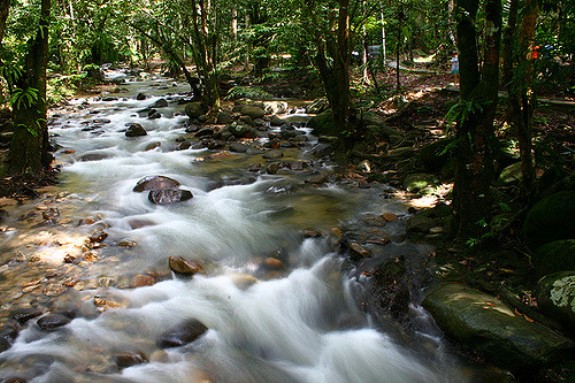 Tempat menarik di selangor Hutan Lipur Sungai Congkak