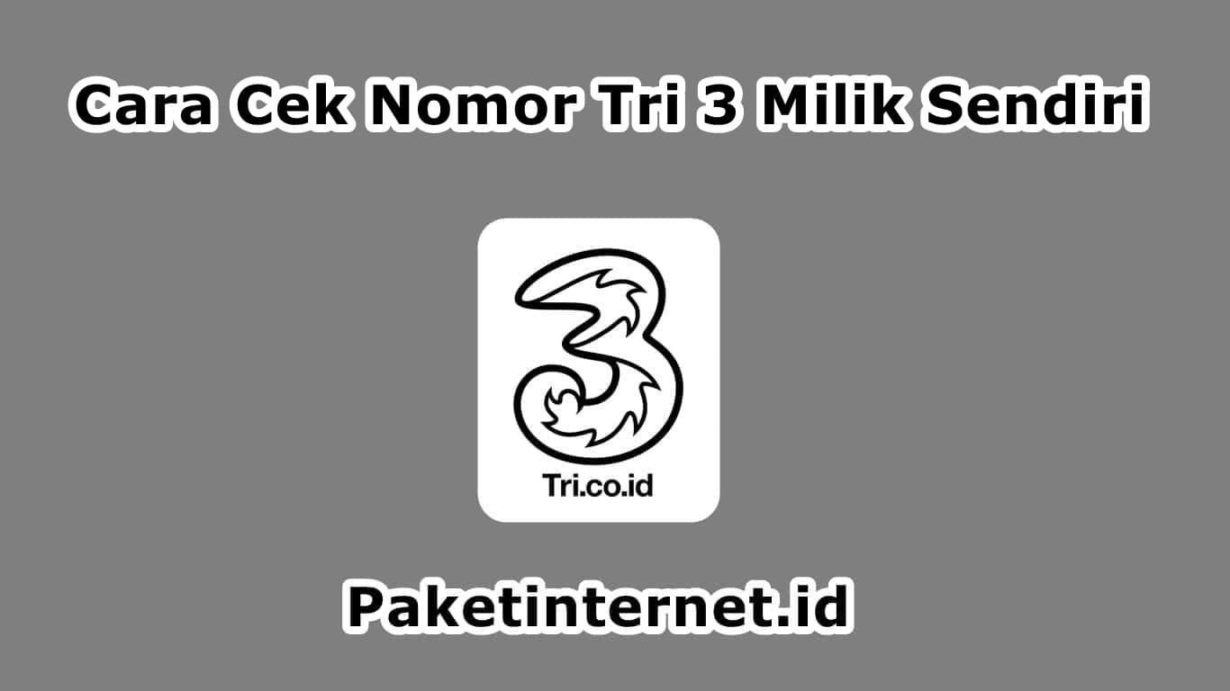  Anda merupakan pelanggan setia layanan provider  √ 4 Cara Cek Nomor Tri 3 Praktis dan Cepat Hanya 30 Detik 
