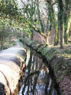 Water in a leat in Luxulyan Valley, Cornwall