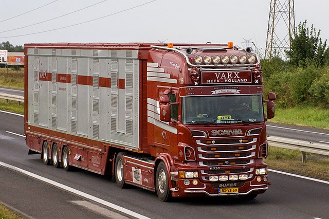 Kumpulan Foto Modifikasi Truk Indonesia Terbaru Modif 