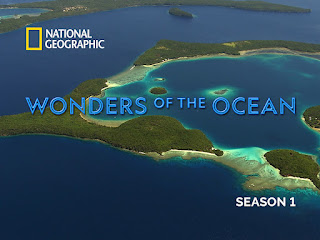 wonders of the ocean