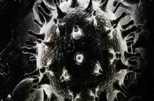 सीधी जिले में 6 मिले नए कोरोना संक्रमित,एक्टिव केस 7