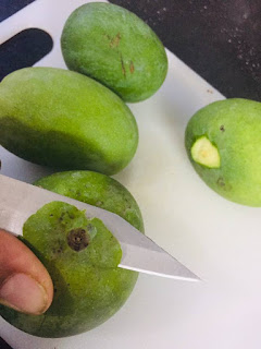 instant-mango-pickle-step-1(3)