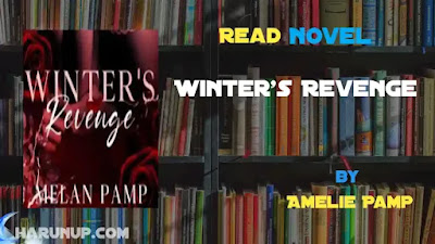 Winter's Revenge Novel