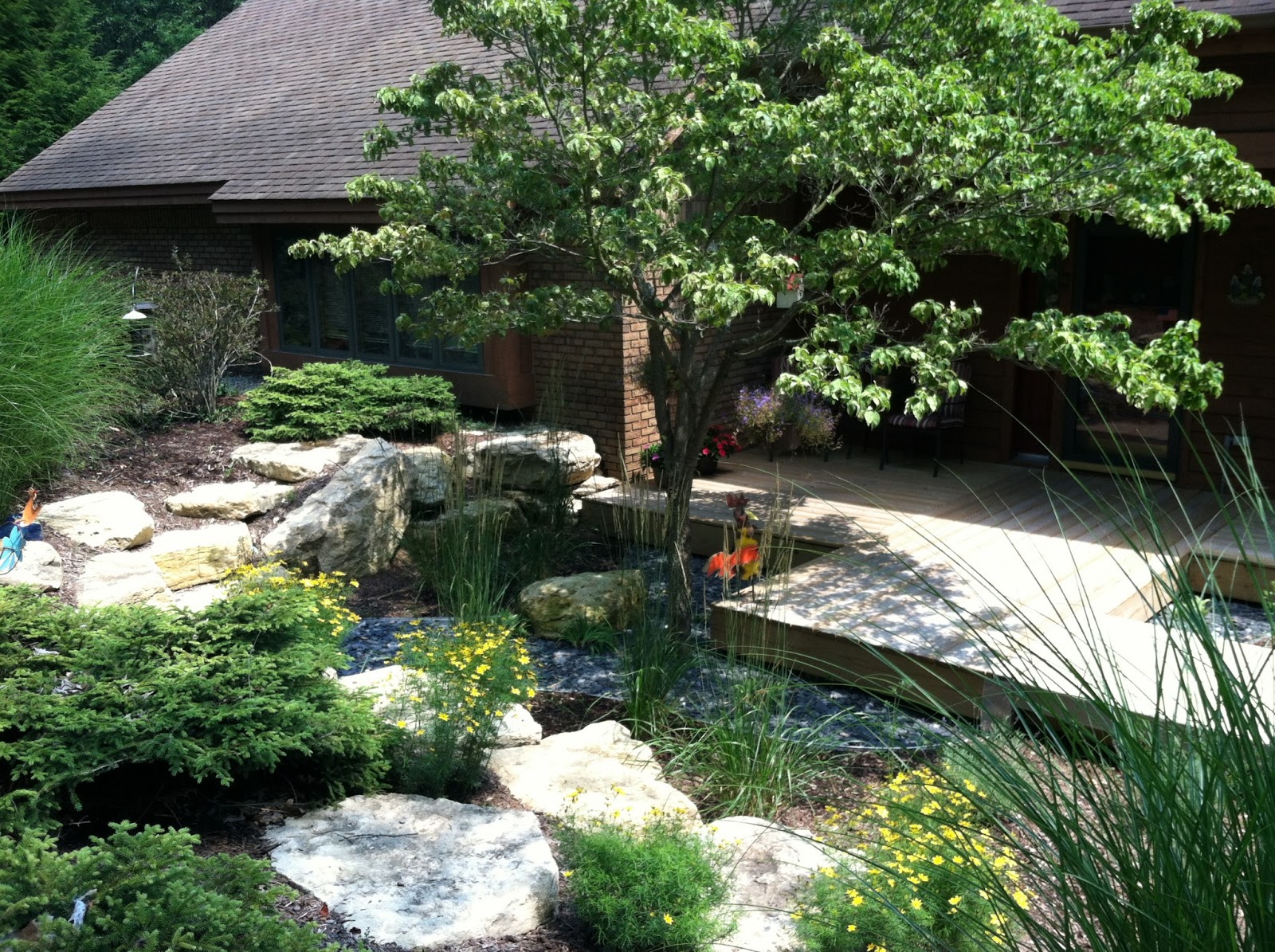 Apex Landscape: Backyard Makeover