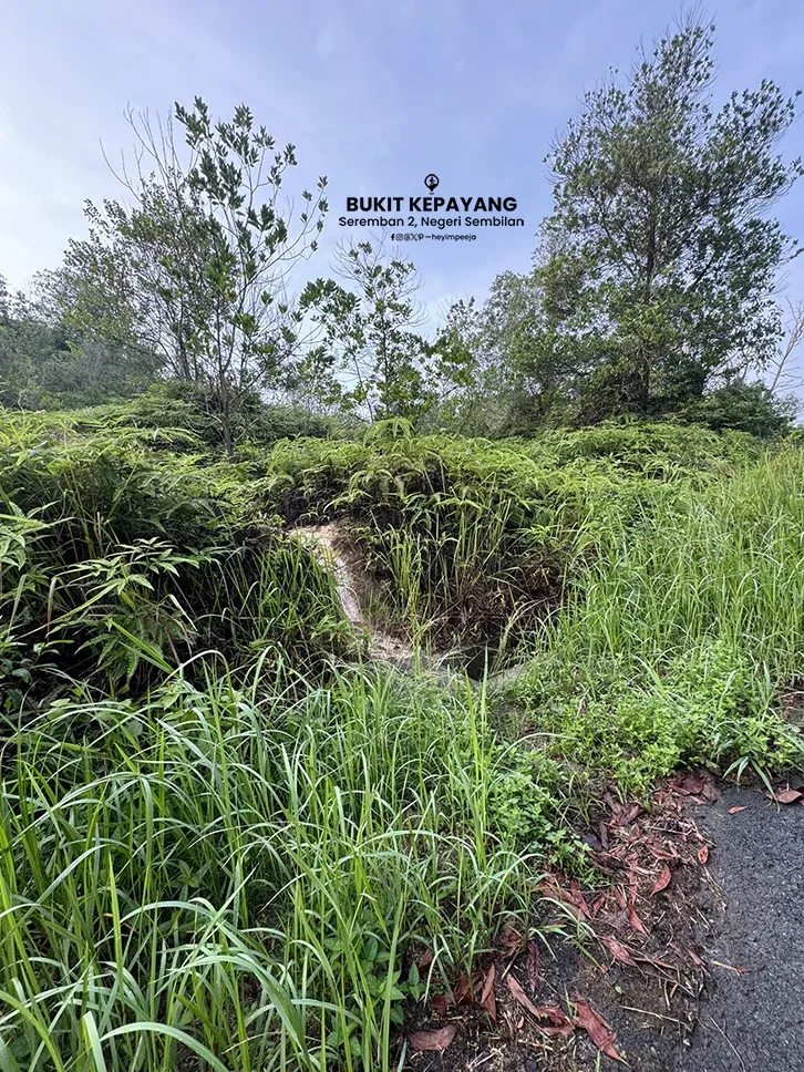 Hiking Bukit Kepayang