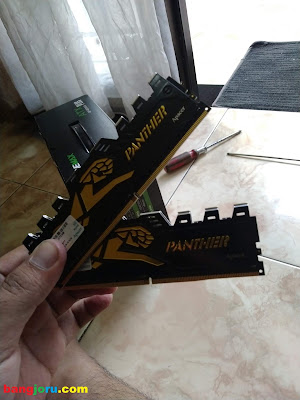 review ram apacer panther