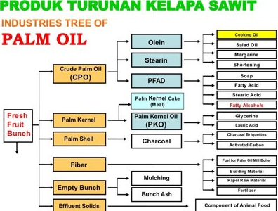 Contoh Surat Lamaran Kerja Pabrik Kelapa Sawit - KANTOR UNIE