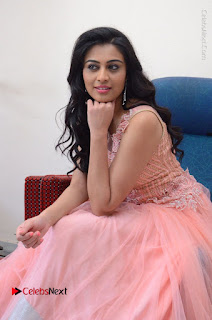 Actress Neha Hinge Stills in Pink Long Dress at Srivalli Teaser Launch  0104.JPG