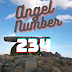 Significance of Angel Number 234: Embrace Guidance, Growth, and Love
