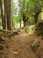 Le sentier de la châtaigne