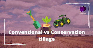 conventional vs conservation tillage