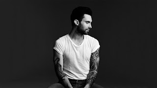 adam levine lost stars