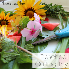 http://www.munchkins-and-moms.com/2015/06/nature-cutting-tray.html