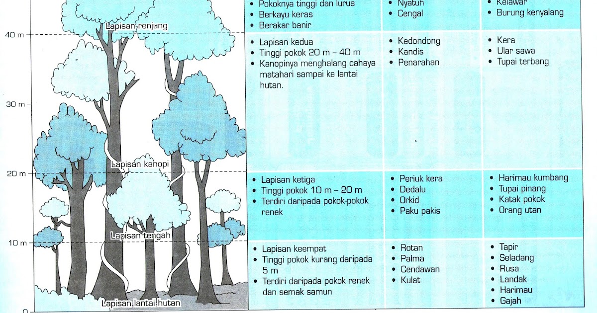 Soalan Latihan Geografi Tingkatan 3 Kssm - Meteran c