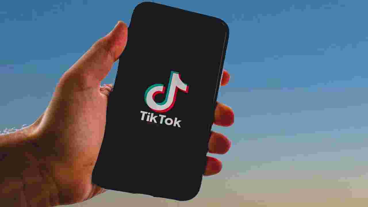 How To Remove The Tiktok Rotoscop Filter