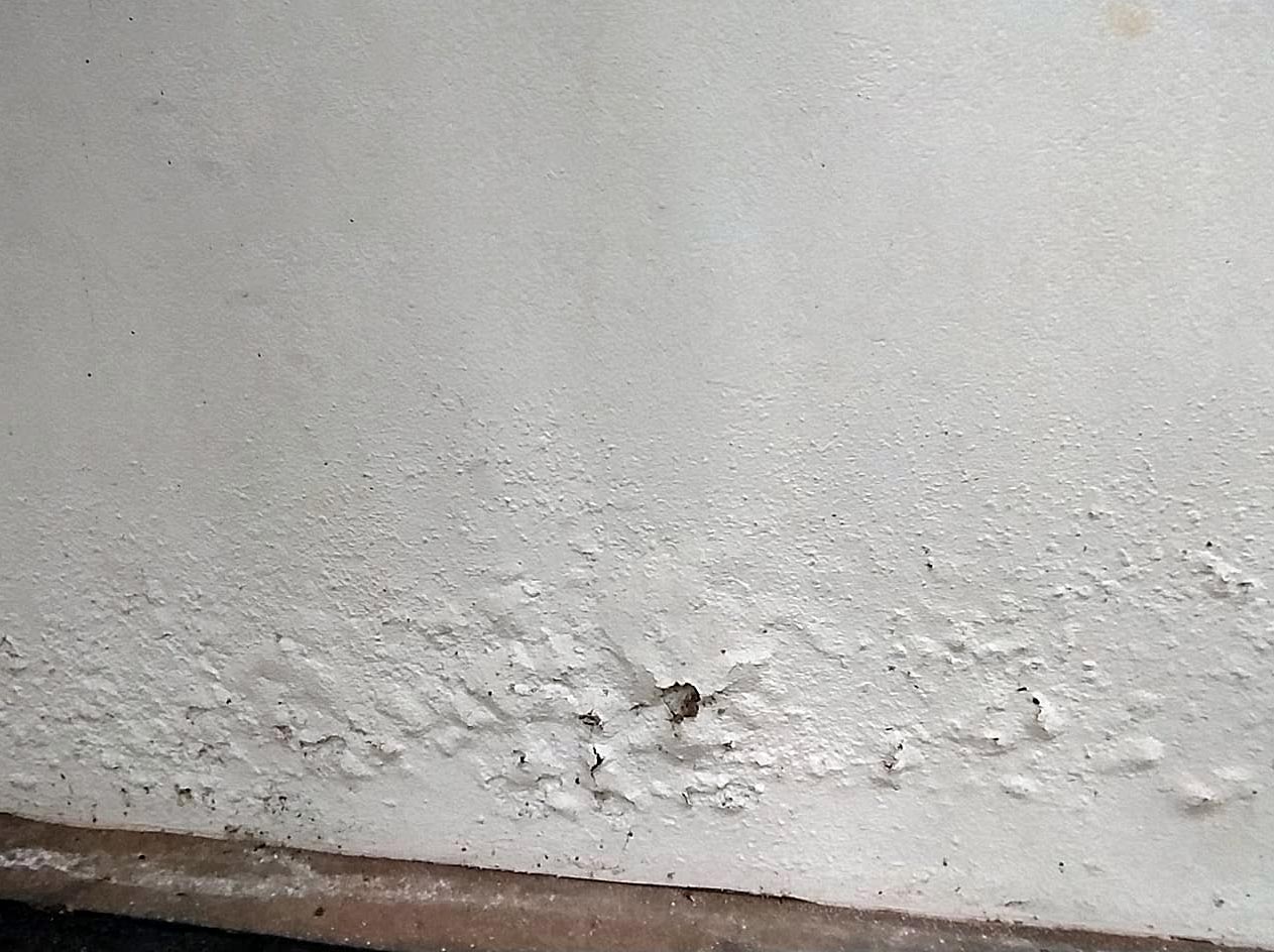 Capillary rise Kerala - Damp walls problem