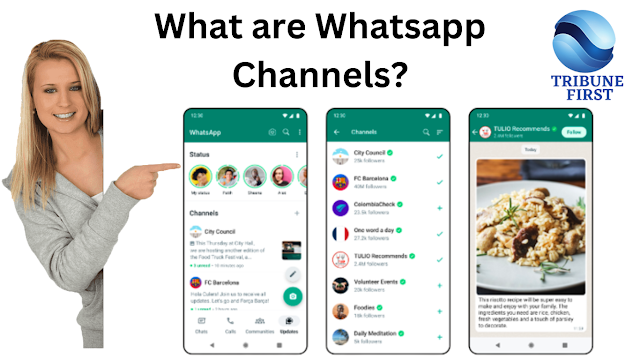  How to Connect with WhatsApp Channels and What They Are