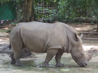 Thảo Cầm Viên