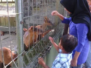 rusa gembiraloka, wisata gembiraloka