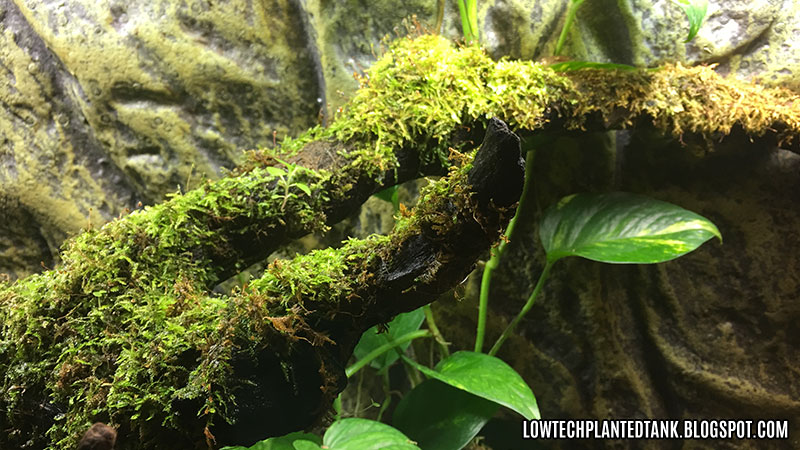 KLCC Aquaria Tropical Tank