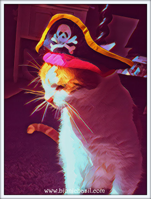 Amber's Pirate Selfie Throwback  ©BionicBasil® Caturday Art